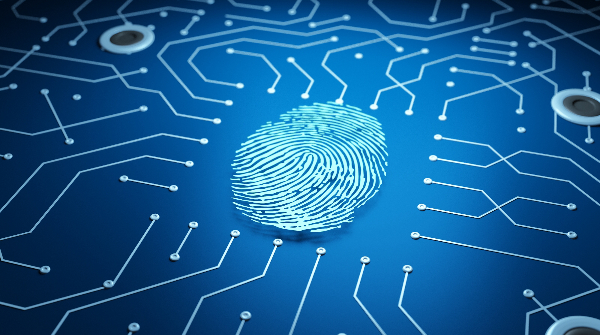 in 2014, the small array fingerprint sensing chip was introduced